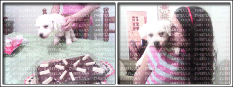 Pakita5anos
