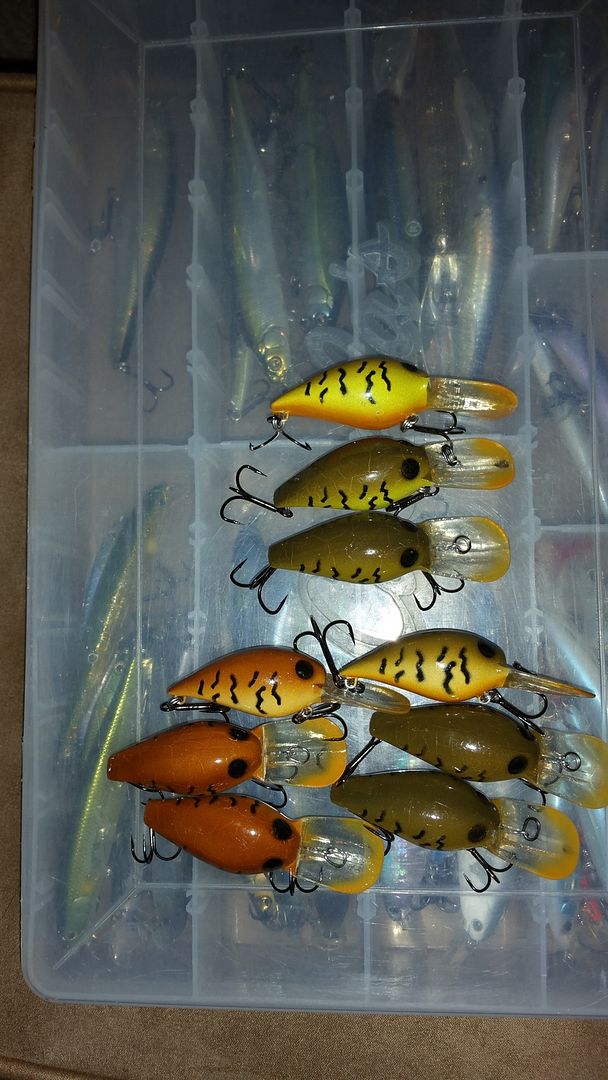 Wiggle wart knock off Clearance