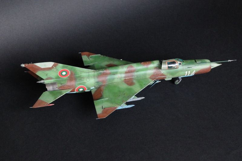 MiG21_503a_zpse65c3221.jpg