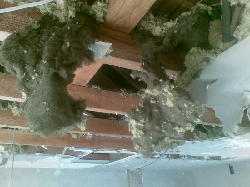 Asbestos Loft Insulation