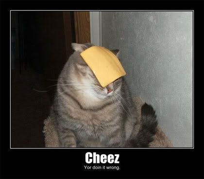 Cheez