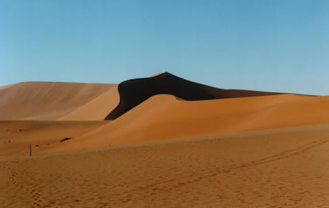 Dunes of the Namib Desert, taken by Simon Collins