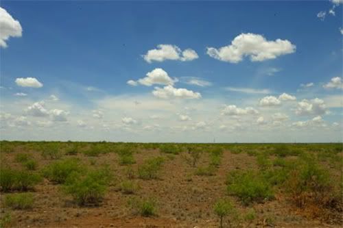 Landscape - Odessa Crater, Courtesy David Byrne