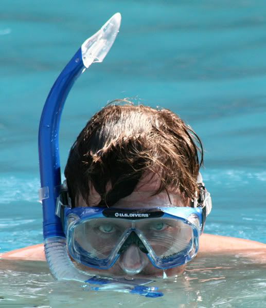 IMAGE: http://i77.photobucket.com/albums/j61/sharpfocus/3335.jpg