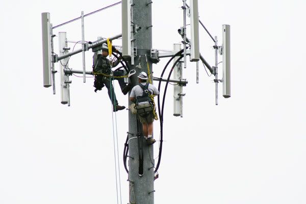 IMAGE: http://i77.photobucket.com/albums/j61/sharpfocus/3968.jpg