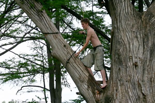 IMAGE: http://i77.photobucket.com/albums/j61/sharpfocus/8981.jpg