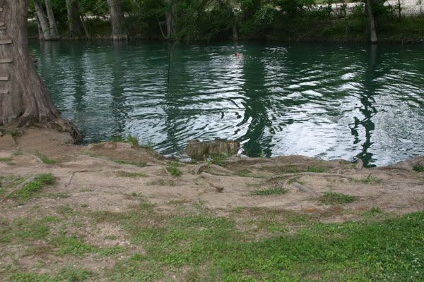 IMAGE: http://i77.photobucket.com/albums/j61/sharpfocus/8986.jpg