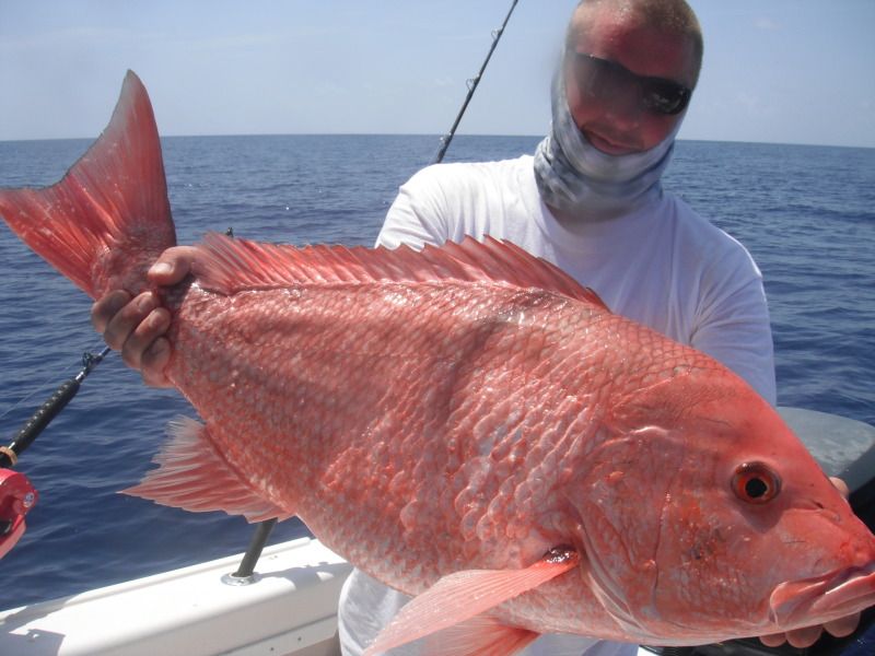 Red snapper rod and reel setup Clearance
