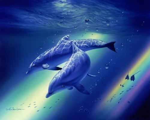 Wallpaper Desktop Dolphin. dolphin in ocean Wallpaper