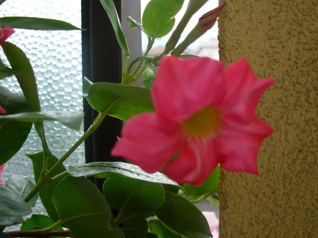DSCN0800.jpg