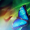 ilusionaryheart-butterfly08.png