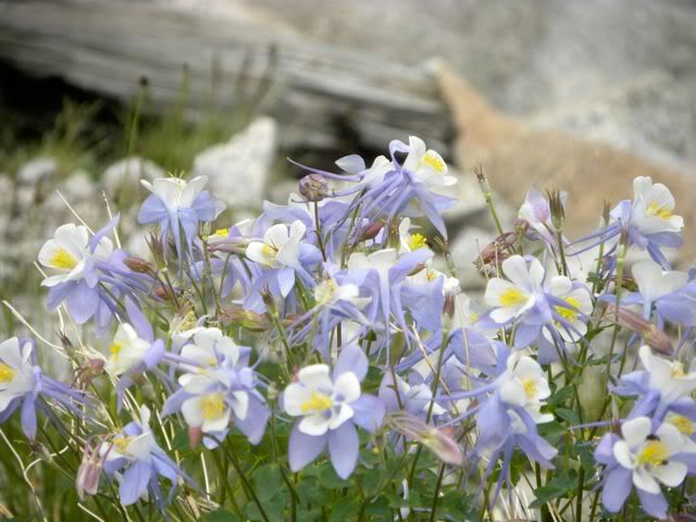 DSCN1251.jpg