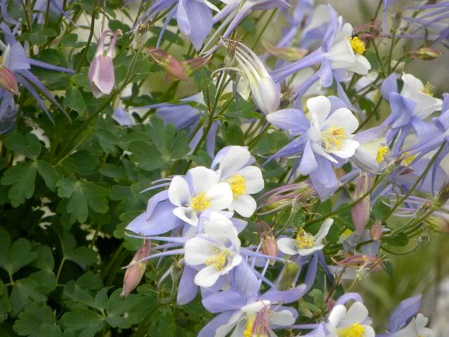 DSCN1253.jpg