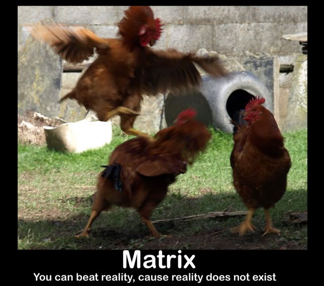 Pollo a lo Matrix