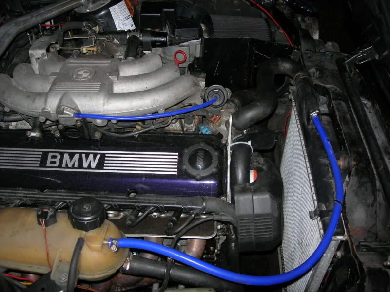 januar2008012.jpg