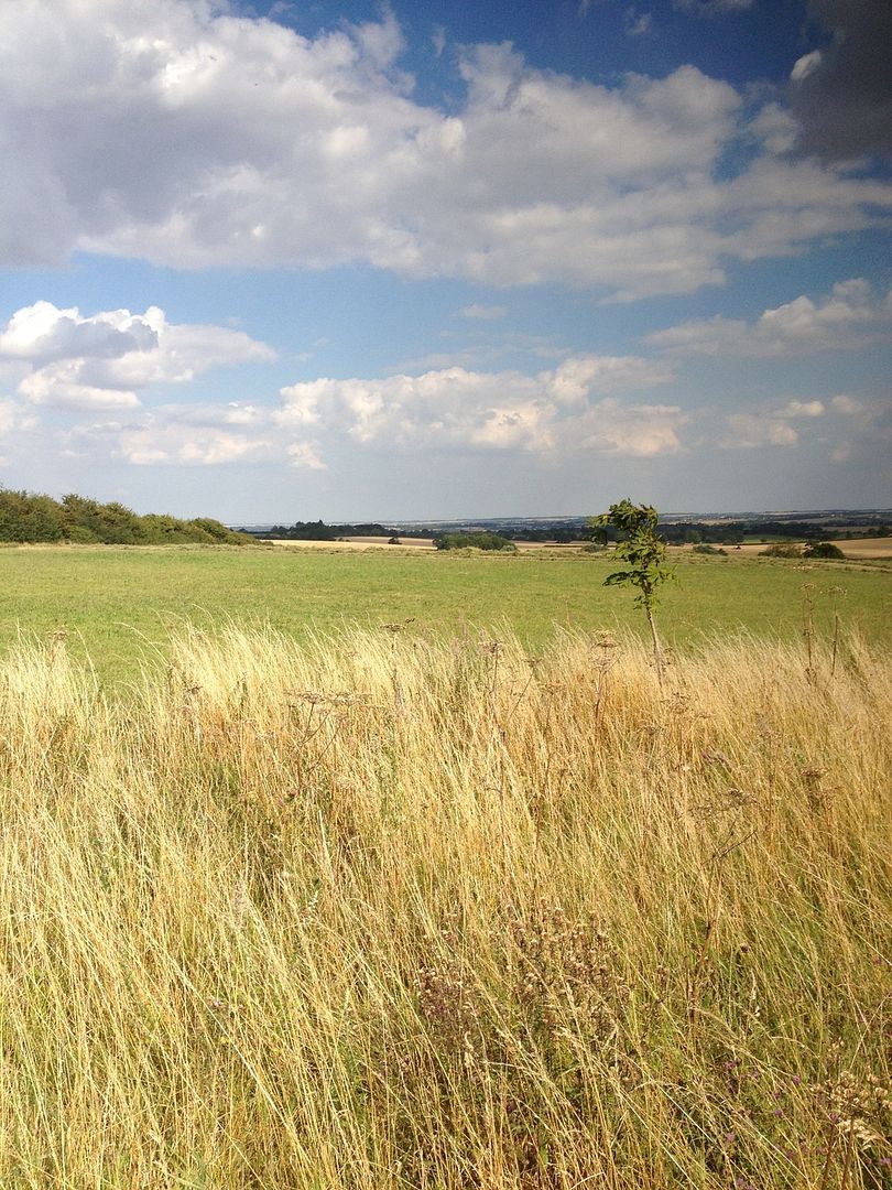 1AC3A6BE-1B6D-4F17-B471-7669EC9DD281_zps