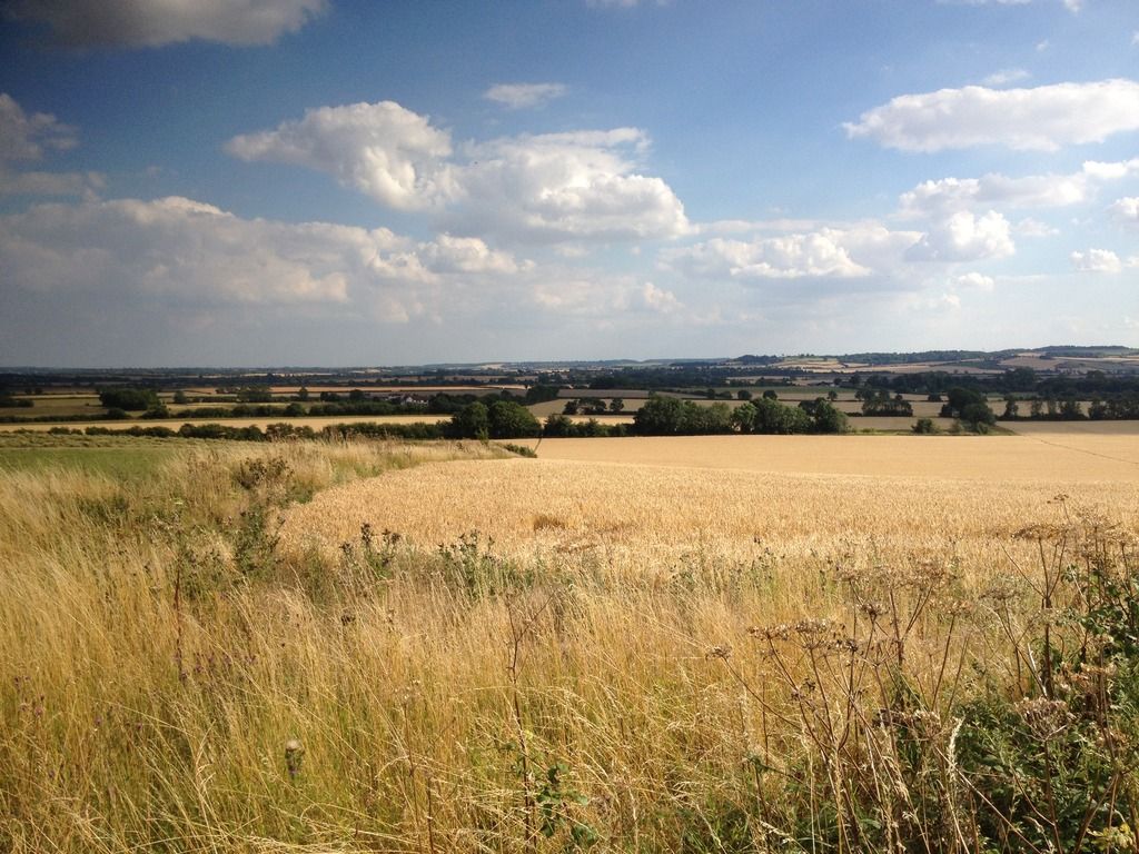 4999DCF3-FCA6-4F8B-90D2-F9BDCCD13E79_zps