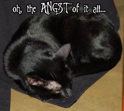 the ANGST~ Pictures, Images and Photos