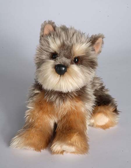 douglas yettie yorkie