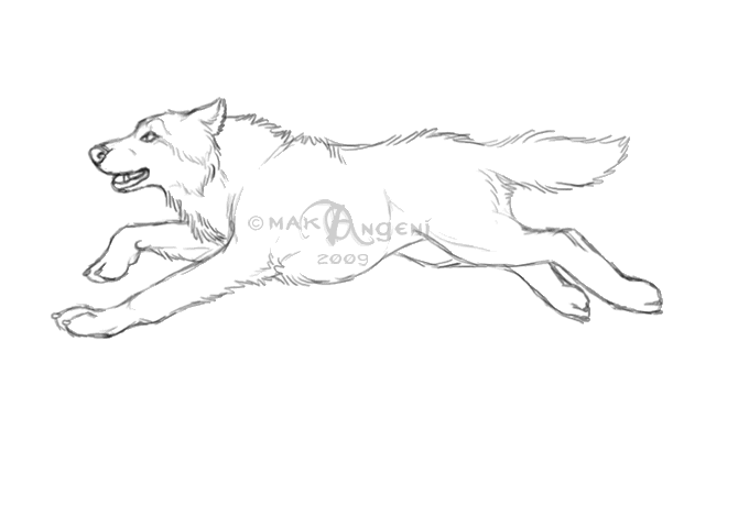 Running_wolf___Animation_by_makange.gif image by shadowofthemoon