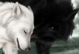 d3112ea96a8a8ec4.jpg image by shadowofthemoon