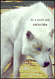 willowso4.png image by shadowofthemoon