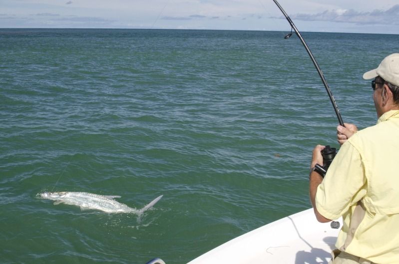 Bahia honda reef fishing #1