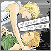 seinerav.png