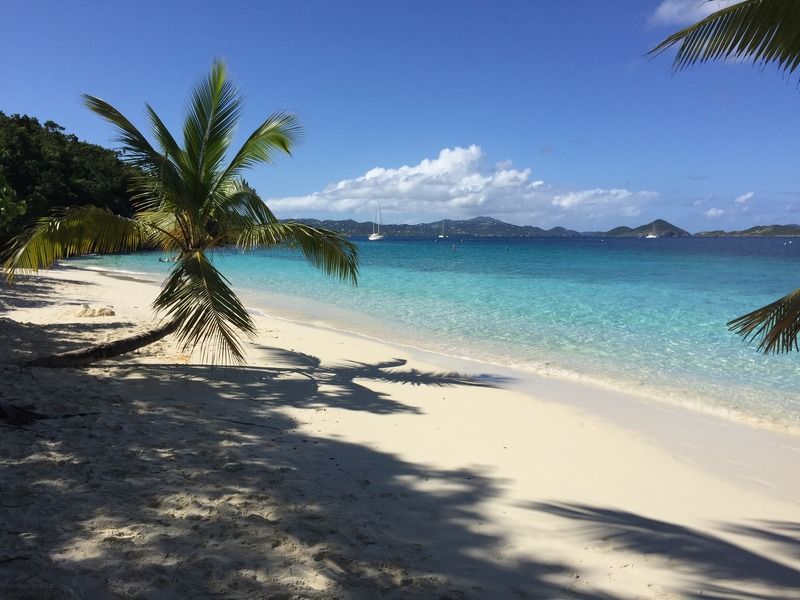 Trunk Bay or Honeymoon Beach The DIS Disney Discussion Forums