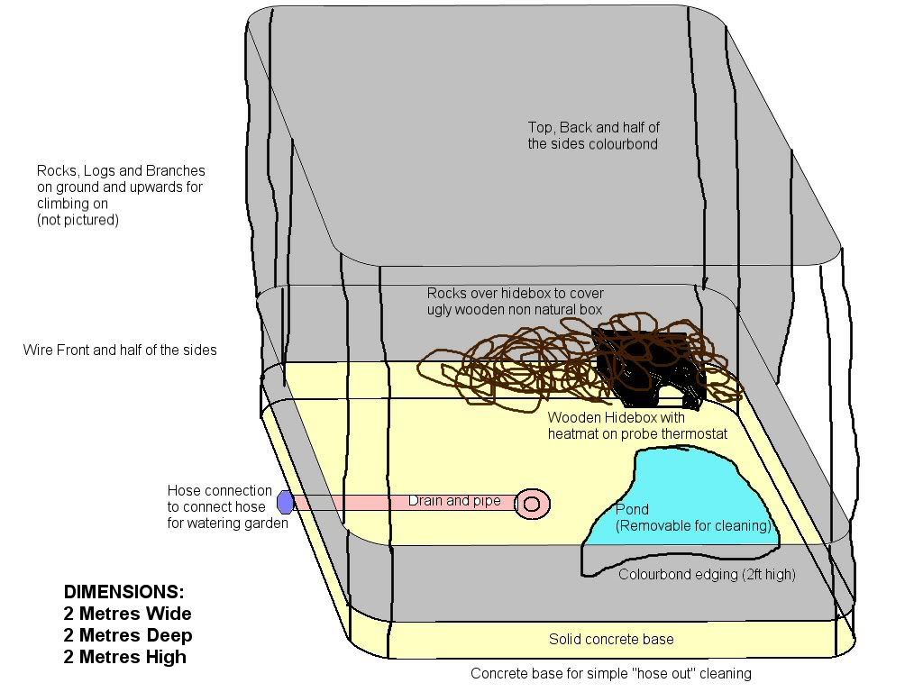 australian water dragon enclosure