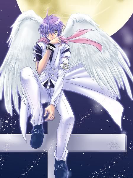 picture