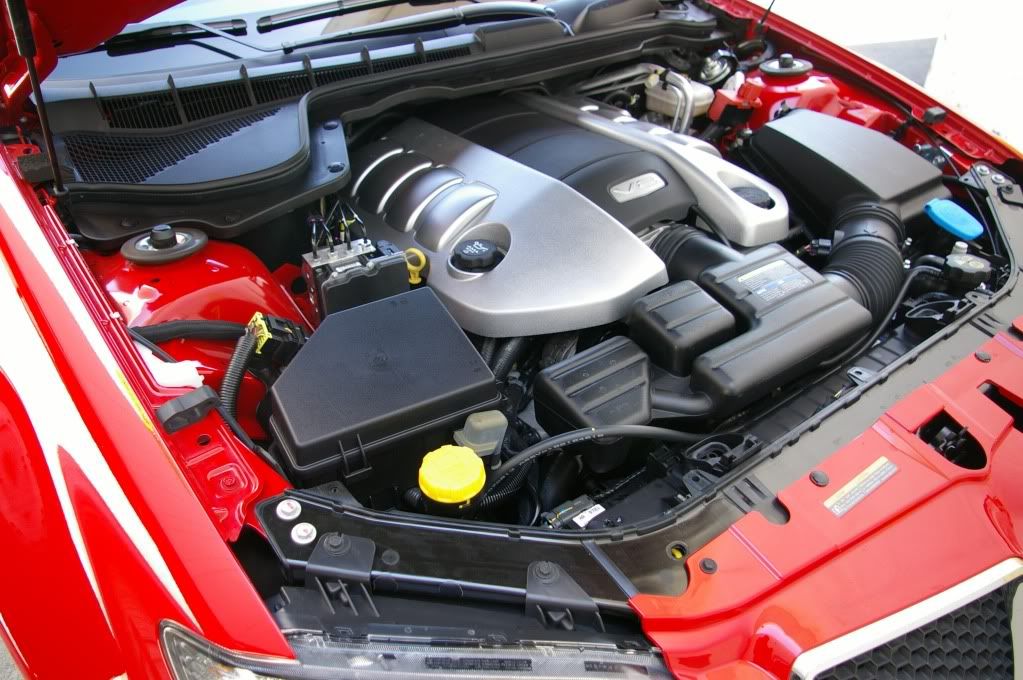 G8 Engine Bay