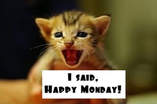 Happy Monday photo: Happy Monday yelling-kitten-picture12-1.jpg