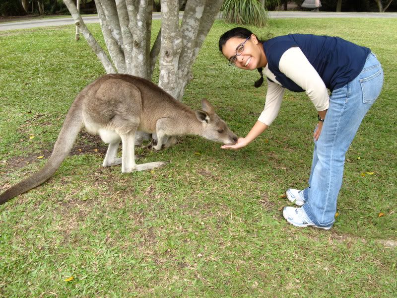 Kangaroos Food