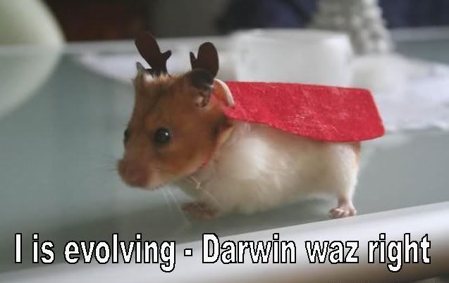 darwin.jpg