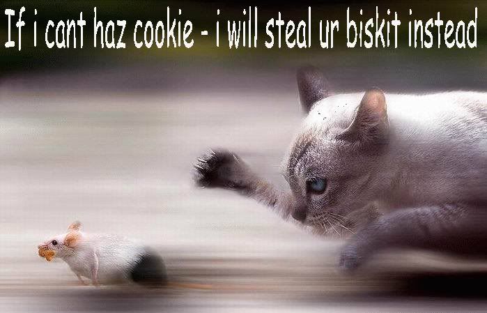 stealbiscuit.jpg