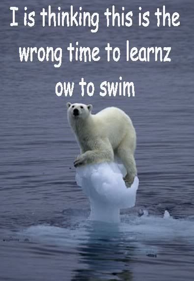 swim.jpg