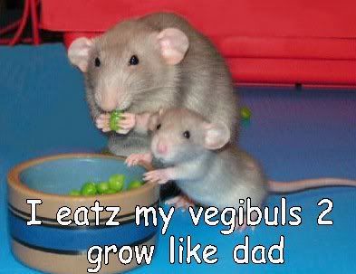 veg.jpg