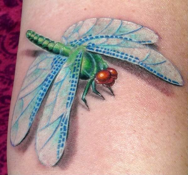 dragonfly.jpg