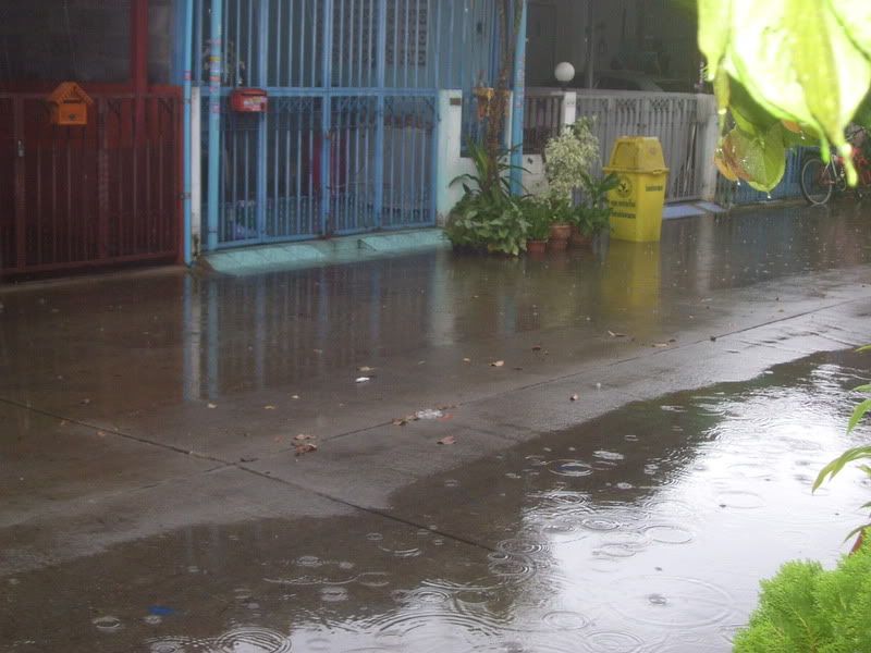 100_3047.jpg
