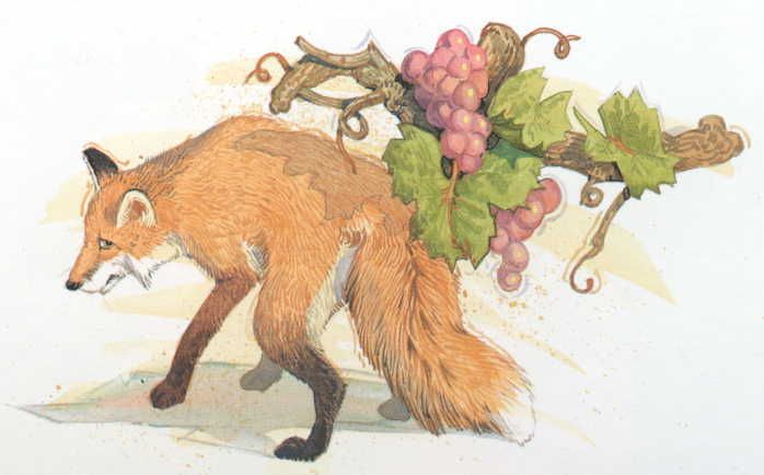 foxgrape.jpg