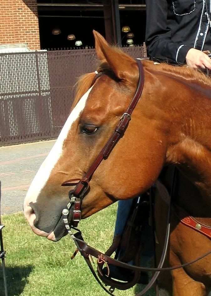 Sonny's Two-Eyed Jaxx