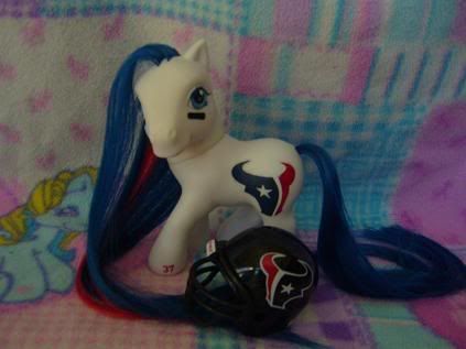 CopyofCustomHoustonTexans-Newpics.jpg