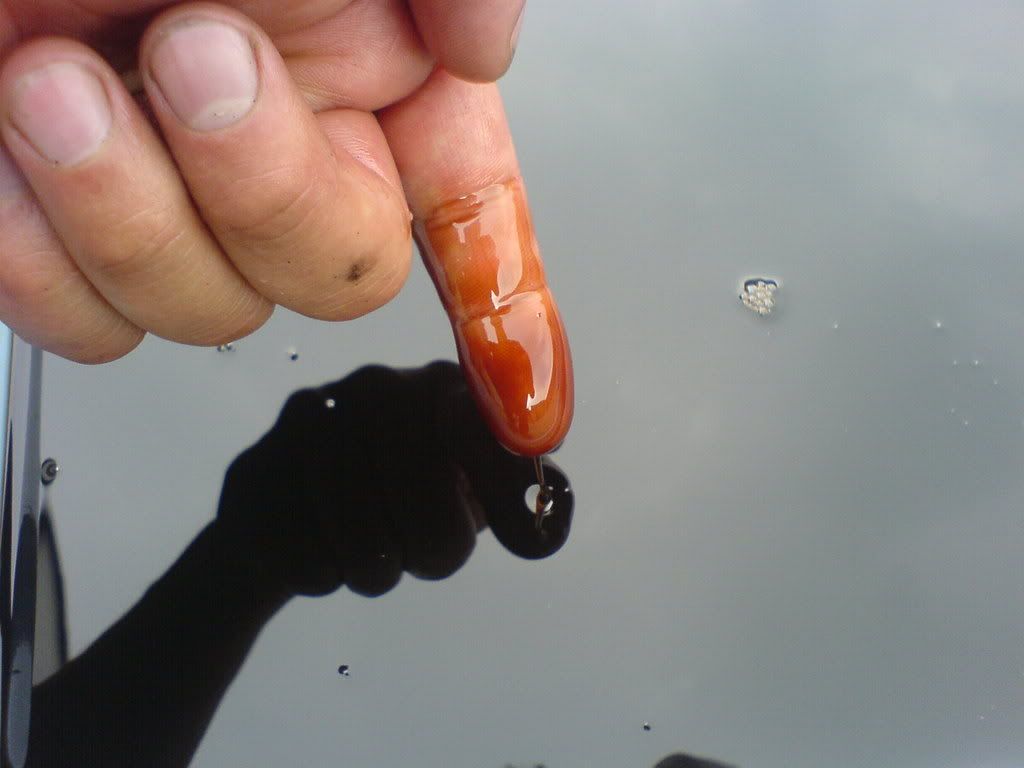 Engine + Gearbox flush