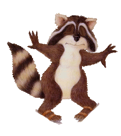 racoon-animated.gif