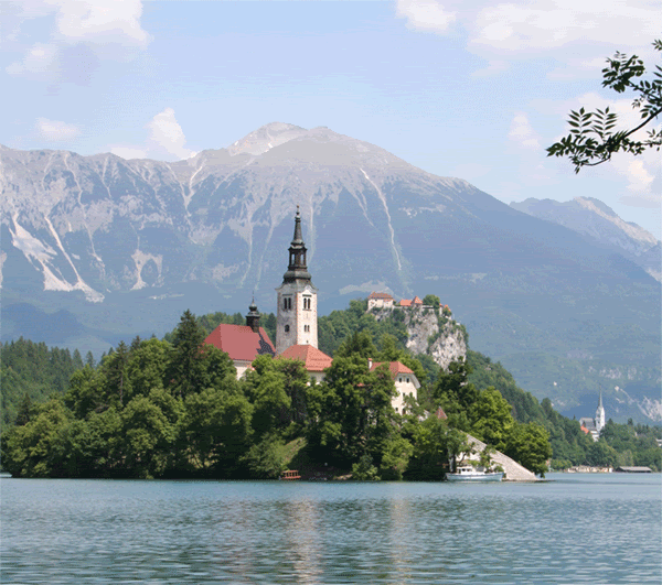 bled3.gif