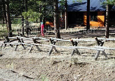 08Fence.jpg
