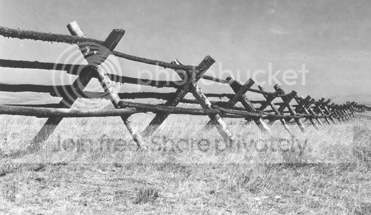 fence1.jpg