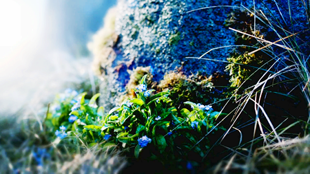 photo graffitigraphic-outlander0306.png