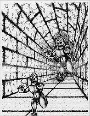 thechase.jpg